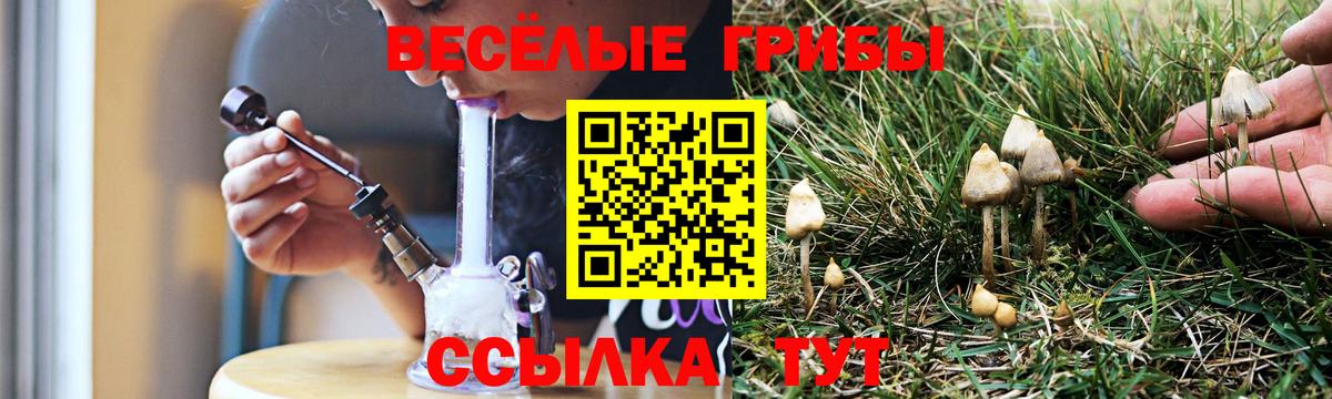 Галлюциногенные грибы ЛСД  Псилоцибиновые грибы Psilocybe  Вход с VPN  где найти   Саранск 